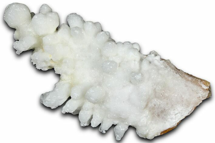 Sparkling Calcite/Aragonite Stalactite Formation - China #364511